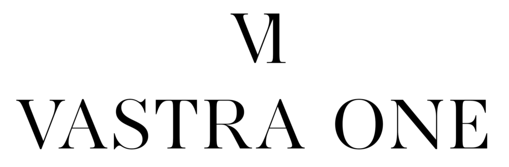 VASTRA ONE LOGO WITH BACKGROUND 2 1024x337
